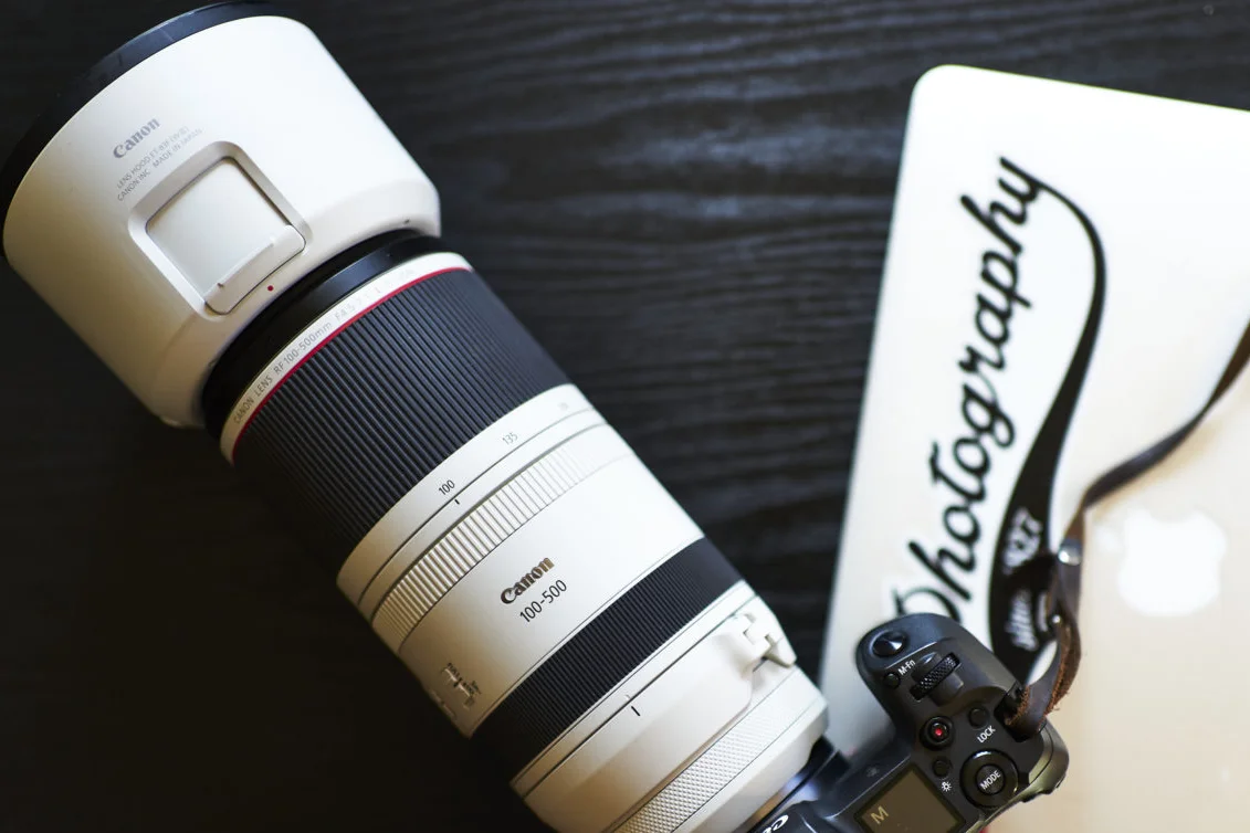 The best Affordable Fax Lenses FOR BIRDING PHOTOGRAPHY