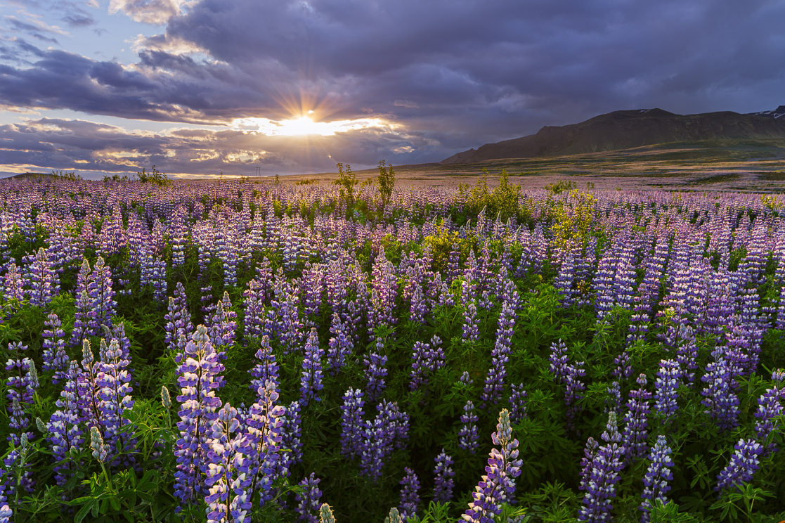 How to bracket your photos for Landscape Photography