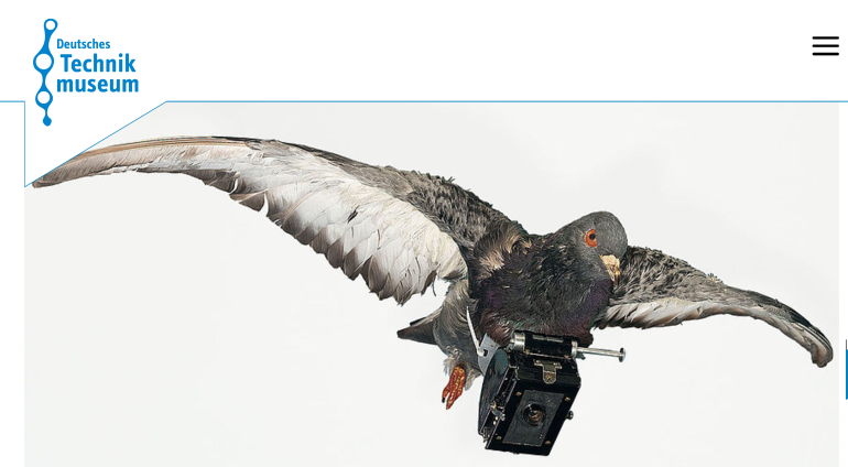 Pigeon Camera